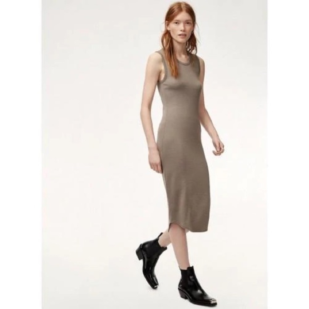 Aritzia Wilfred Free dress